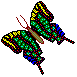 Image of butterfly3.gif